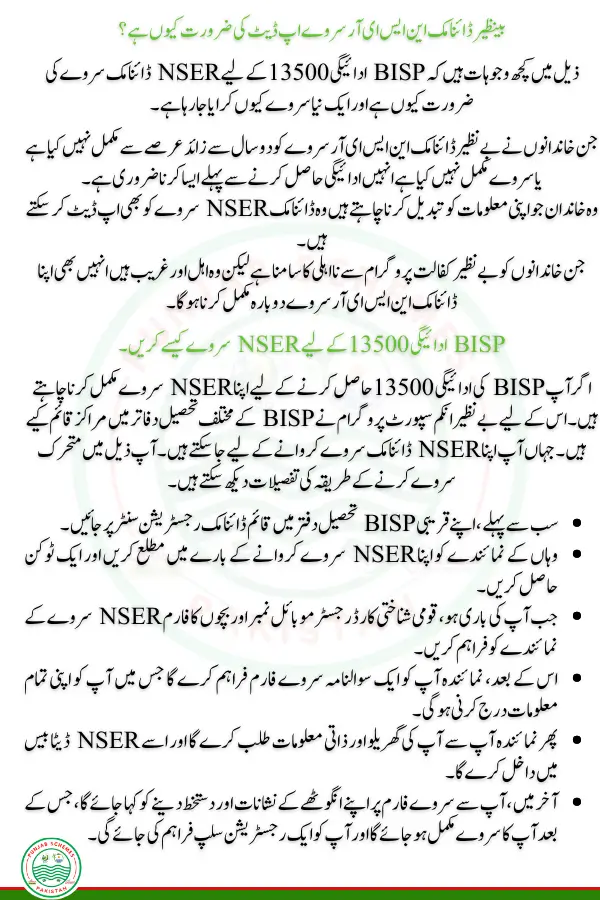 What Is Benazir Dynamic NSER Survey?